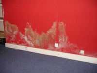 stained wall stained wall